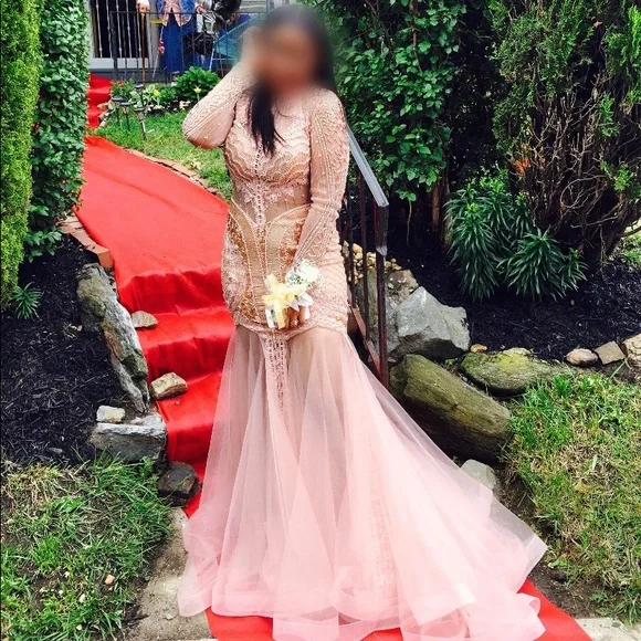 Terani couture PRETTY mock mermaid dress.Size 6.